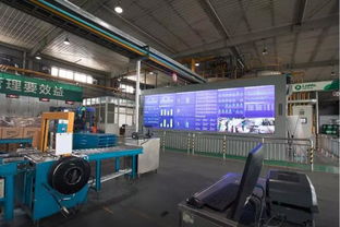 龍?bào)纯萍?信息技術(shù)驅(qū)動(dòng)下的創(chuàng)新與發(fā)展