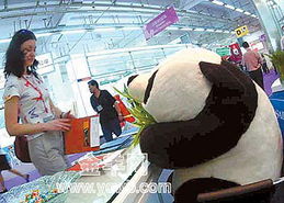 萌態可掬的熊貓招客秘訣